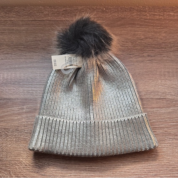 Aerie Silver Foiled Ribbed Knit Beanie - Picture 1 of 6